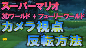 Switch スーパーマリオ ３Ｄワールド ＋ フューリーワールド　カメラ視点　反転方法